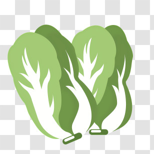 Lettuce Bowl Green Lettuce Leaf Salad Bowl Vegetable Bowl Healthy Eating Transparent PNG