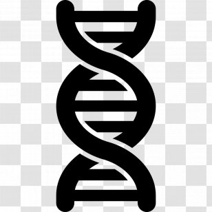 DNA Nucleic Acid Double Helix Genetic Testing Genetics Vector - Dna Sequencing Transparent PNG