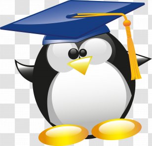 Penguin Stichting Zabuki Clip Art - Flightless Bird Transparent PNG