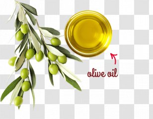 Soybean Oil Olive Alternative Health Services Medicine - Cooking Transparent PNG