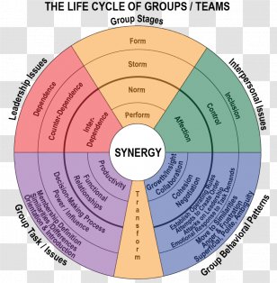 Biological Life Cycle Group Development Birth Brain-eating Amoeba - Team - Reproduction Transparent PNG