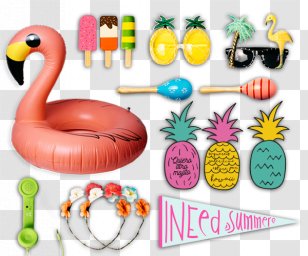 Photo Booth Photography Photocall Party Wedding - Organism Transparent PNG