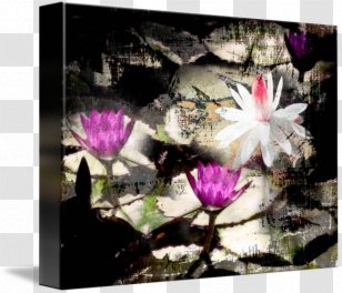 Insect Butterfly Stock Photography Picture Frames Transparent PNG