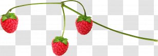 Musk Strawberry Raspberry Food - Strawberries Transparent PNG