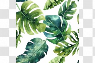 Paper Tropics Drawing Painting Transparent PNG