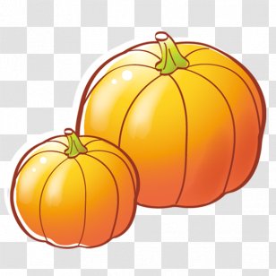 Jack-o-lantern Calabaza Pumpkin Cucurbita Pepo - Gourd Transparent PNG