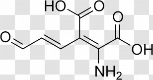 Aspartic Acid Amino Alanine Methionine - Tyrosine - Car Structure Transparent PNG