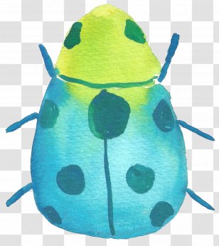 Insect Ladybird Watercolor Painting - Turquoise - Ladybug Transparent PNG