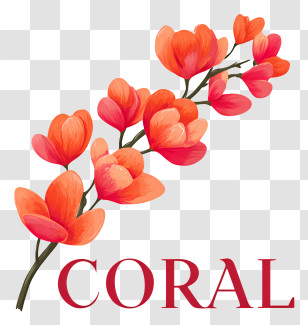 Coral Logo - Coral Flower Branch Graphic Transparent PNG