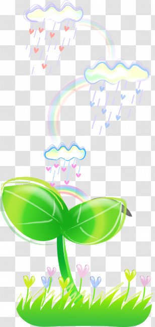 Illustration - Art - Vector Grass Raindrops Diagram Elements Transparent PNG
