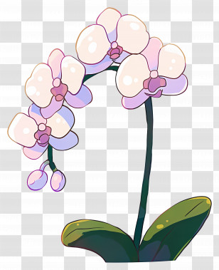Orchid - Cartoon Orchid Flower Illustration Transparent PNG