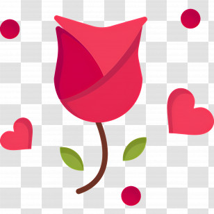 Rose Flower - Red Rose Illustration With Hearts For Love Transparent PNG