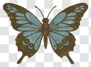 Butterfly - Blue Butterfly With Brown Wings Transparent PNG