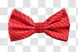 Bow Tie Necktie Ribbon Shoelace Knot Red - Burgundy Transparent PNG
