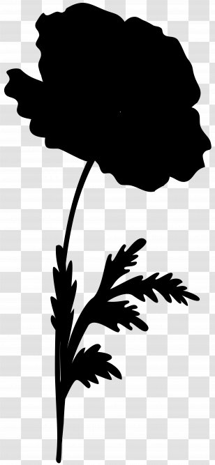 Flower Leaf Plant Stem Clip Art Silhouette - Branching - Botany Transparent PNG