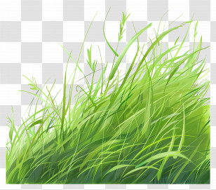 Grass Field - Green Grass Illustration On Transparent Background Transparent PNG