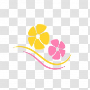 Logo Frangipani Clip Art - Flowering Plant Transparent PNG