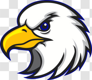 Eagles Logo - White Eagle Profile Illustration With Fierce Gaze Transparent PNG