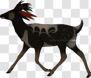 Red Deer Reindeer Roe Moose - Wildlife Transparent PNG