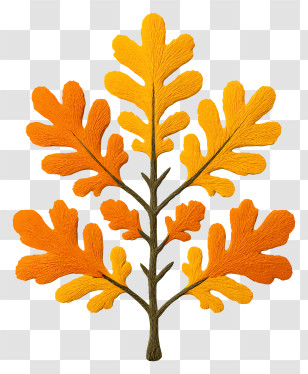 Autumn Oak - Orange Autumn Leaves Transparent PNG