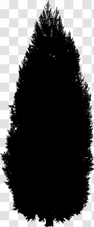 Fur Silhouette Black M - Woody Plant Transparent PNG