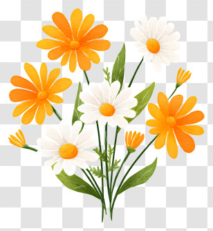 Bright Orange And White Daisies Transparent PNG