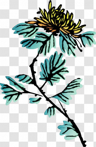 Floral Design Transparent PNG