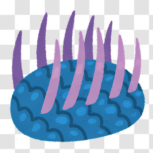 Nature - Blue And Purple Sea Anemone Illustration Transparent PNG