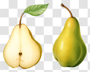 Pear - Realistic Illustration Of Yellow Pear Fruit Transparent PNG