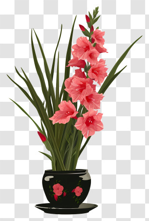 Gladiolus - Pink Gladiolus In A Black Pot Transparent PNG