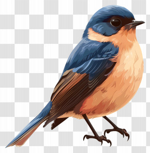 Bird - Blue And Orange Bird Illustration Transparent PNG