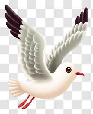 Seagull In Flight - Flying Bird With Spread Wings Transparent PNG