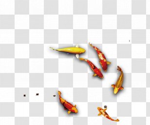 Download Computer File - Gratis - Ink Fish Transparent PNG