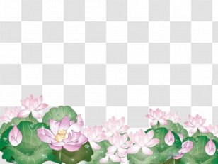 Euclidean Vector Splash Clip Art - Cartoon Full Board Lotus Transparent PNG