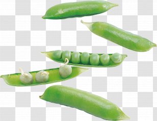 Pea Food Clip Art - Common Bean Transparent PNG