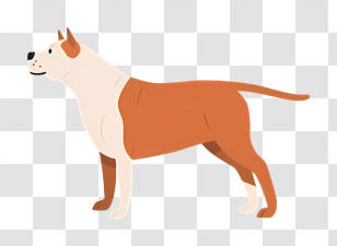 Icon - Brown And White Dog Standing Transparent PNG