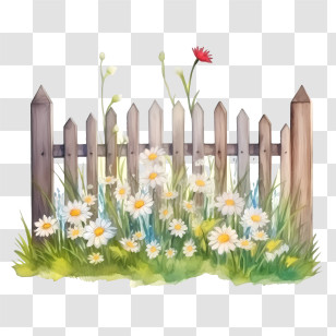 Wooden Garden Fence - Wooden Fence With Blooming Daisies Transparent PNG