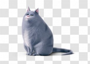 Cat Chloe Max Dog Pet - Tail Transparent PNG