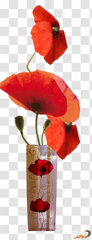 Clip Art Petal Flower Vase Transparent Png