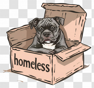 International Homeless Animals Day - Cartoon Homeless Dog Sitting In A Box Transparent PNG