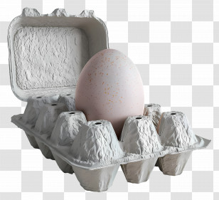 Egg Carton - Egg Carton With One Egg Transparent PNG