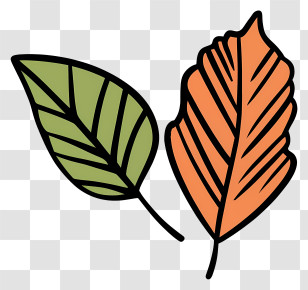 Black And White Image - Illustration Of Cartoon Green And Orange Leaves Transparent PNG