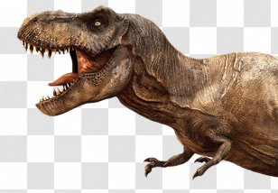 Tyrannosaurus Velociraptor Skeleton Dinosaur Allosaurus Organism Transparent Png - roblox dinosaur simulator part 2 22 indominus rex fitz