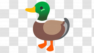 Duck - Cartoon Duck Illustration Transparent PNG