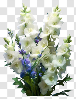 Delphinium Flower Arrangement - Elegant White Gladiolus Flowers Bouquet Transparent PNG