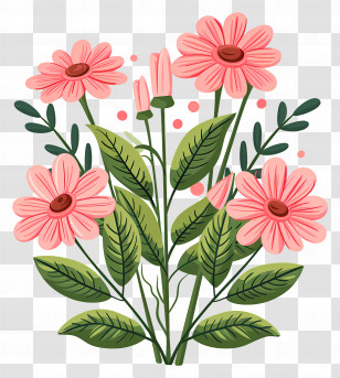 Daisy Flowers - Pink Daisy Flowers In Bloom Illustration Transparent PNG