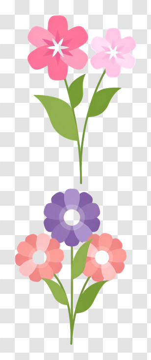 Flower - Colorful Flowers In Bloom Transparent PNG