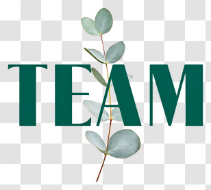 Team - Team Botanical Text Logo Transparent PNG