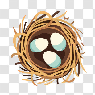 Cartoon Eggs - Bird Nest With Eggs Transparent PNG