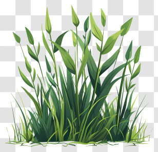 Spring Grass - Green Grass Illustration For Nature Themes Transparent PNG